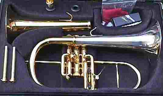 Flugelhorn Guide